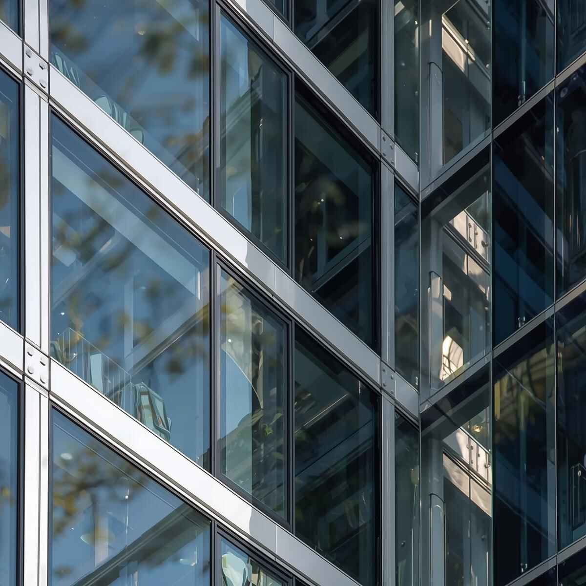 Residential Window Tinting Service